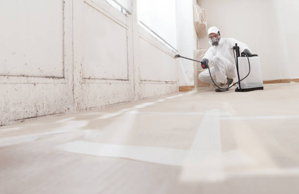 24/7 Emergency Mold Removal experts in Parkhill, PA