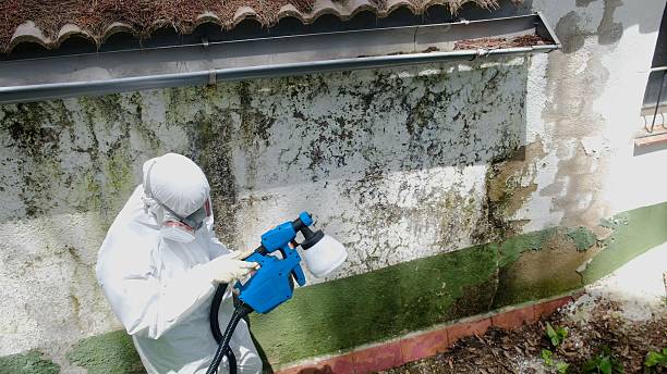 Top rated local Mold Removal specialists in Parkhill, PA